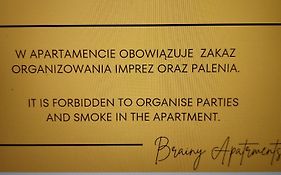 Brainy Apartments - North